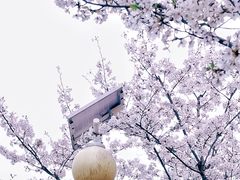 -大宁公园