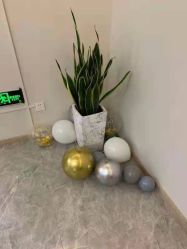 -丽复产后康复萧山旗舰中心