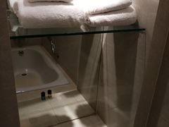 -春兰国宾馆(凤城河风景区老街店)