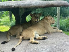 -北京野生动物园