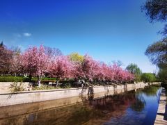 -元大都城垣遗址公园