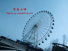 -琴岛之星摩天轮