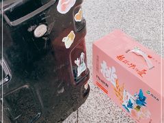 -乌鲁木齐天山国际机场-T3航站楼