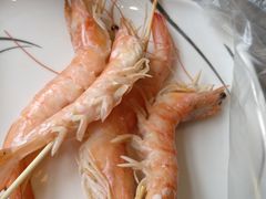 -虾佬圣汤
