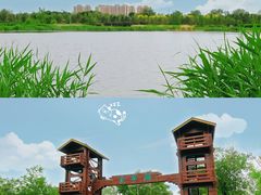 -绿堤公园