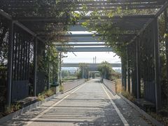 -光明小镇欢乐田园