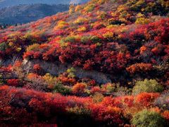 -香山公园
