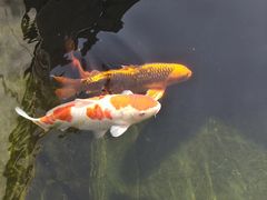-西安市广仁寺