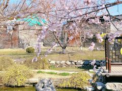 -三里河公园