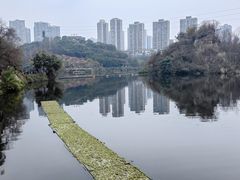 -重庆彩云湖湿地公园