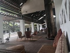 -喜洲吧·江畔老船厂·庭院餐厅(喜临院店)