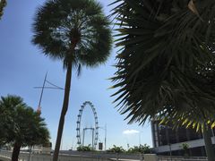 -新加坡摩天观景轮