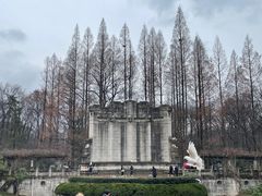 -音乐台