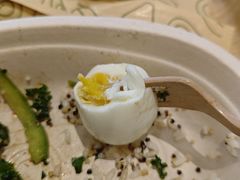 -油梨树 AVOCADO TREE(亮马桥店)