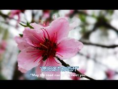 -温江公园
