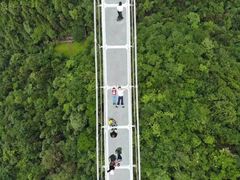 -客天下恐龙水晶玻璃桥