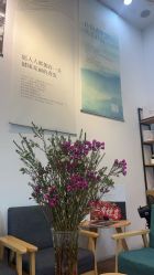 -章光101防脱养发荟