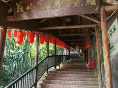 -鲤鱼塘农家山庄