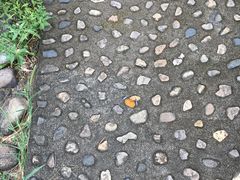 -天下银坑