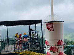 -亚龙湾热带天堂森林公园