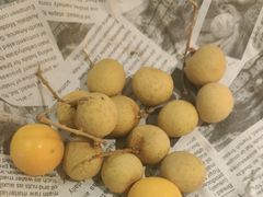 -季季山•云南野生菌火锅(上海首店)