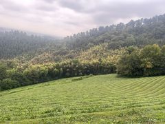 -敬亭山风景名胜区