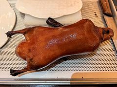 -北京泰富酒店-柏景轩中餐厅