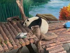 -青藏高原野生动物园