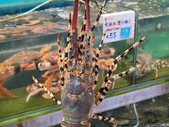 -南丫岛