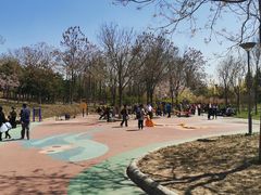 -大兴滨河森林公园