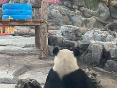 -武汉动物园