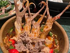 -牛New寿喜烧(金鹰世界店)