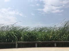 -永定河休闲森林公园