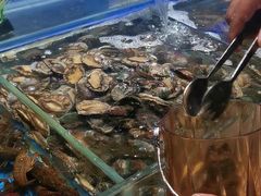 -九月海·海鲜自助(世纪东方店)