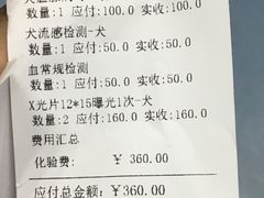 -佳怡动物医院·平价24小时·猫专科骨外科