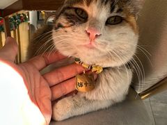 -后海16号·北京私房菜