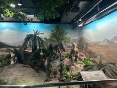 -国家自然博物馆