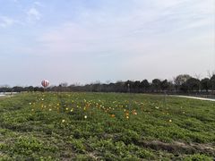 -歌斐颂巧克力小镇