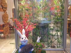 -苗小坛酸汤鱼(酒仙桥店)