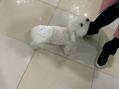 -百信宠物医院(东升街店)