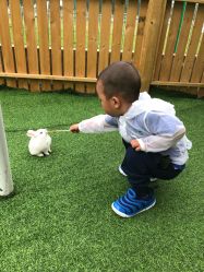 -萌宠亲子动物乐园(槐房万达店)