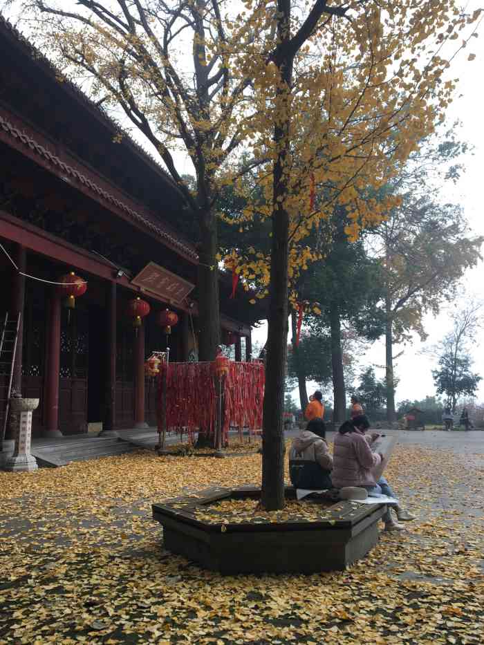 朝阳禅寺-"这里人不多,还在修路,但给我感觉不错,没."-大众点评移动版
