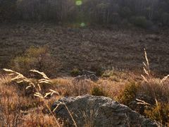 -白草畔自然风景区