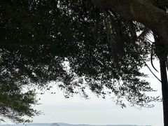 -椰风寨