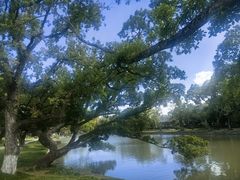 -江心屿景区
