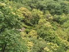 -阳台山自然风景区