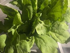 -半闲斋羊肉铺(齐礼阎店)
