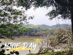 -番禺大夫山森林公园