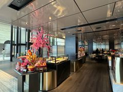 -新加坡乌节希尔顿酒店 (SG Clean)