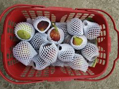 -武汉世外桃源农庄